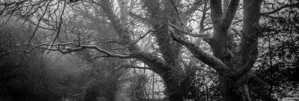 Lựa chọn giữa chấm công khuôn mặt và các phương pháp truyền thống
